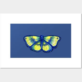 Blue Butterfly Posters and Art